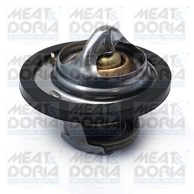 Thermostat, coolant